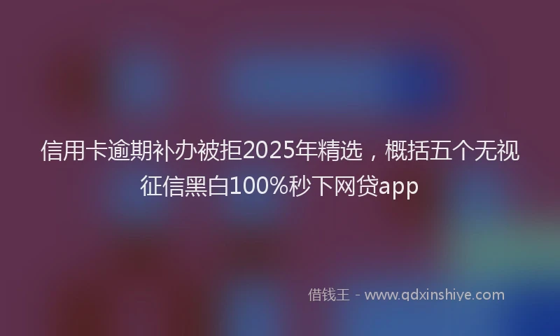 信用卡逾期补办被拒2025年精选，概括五个无视征信黑白100%秒下网贷app