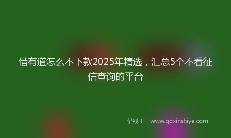 借有道怎么不下款2025年精选，汇总5个不看征信查询的平台