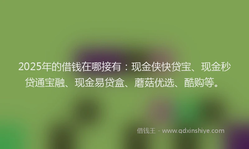 2025年的借钱在哪接有：现金侠快贷宝、现金秒贷通宝融、现金易贷盒、蘑菇优选、酷购等。