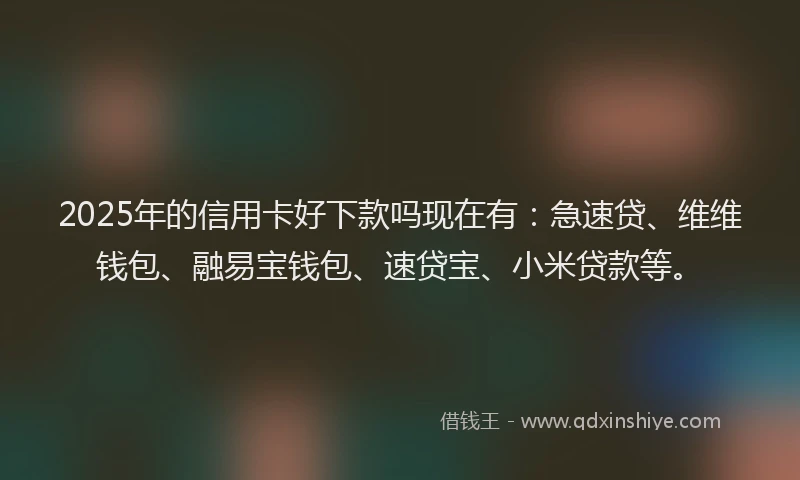 2025年的信用卡好下款吗现在有：急速贷、维维钱包、融易宝钱包、速贷宝、小米贷款等。