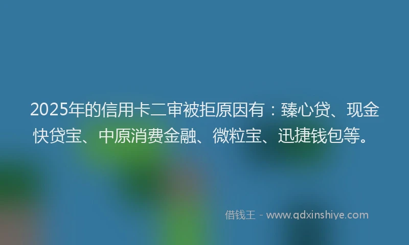 2025年的信用卡二审被拒原因有：臻心贷、现金快贷宝、中原消费金融、微粒宝、迅捷钱包等。