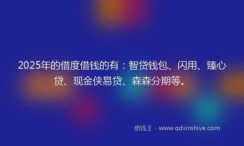 2025年的借度借钱的有：智贷钱包、闪用、臻心贷、现金侠易贷、森森分期等。