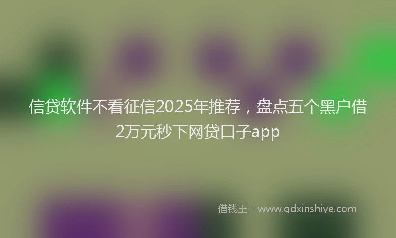 信贷软件不看征信2025年推荐，盘点五个黑户借2万元秒下网贷口子app