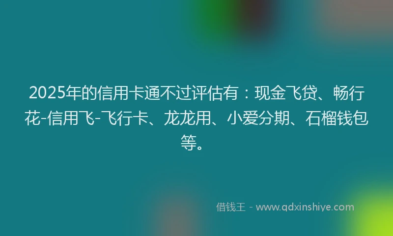 2025年的信用卡通不过评估有：现金飞贷、畅行花-信用飞-飞行卡、龙龙用、小爱分期、石榴钱包等。
