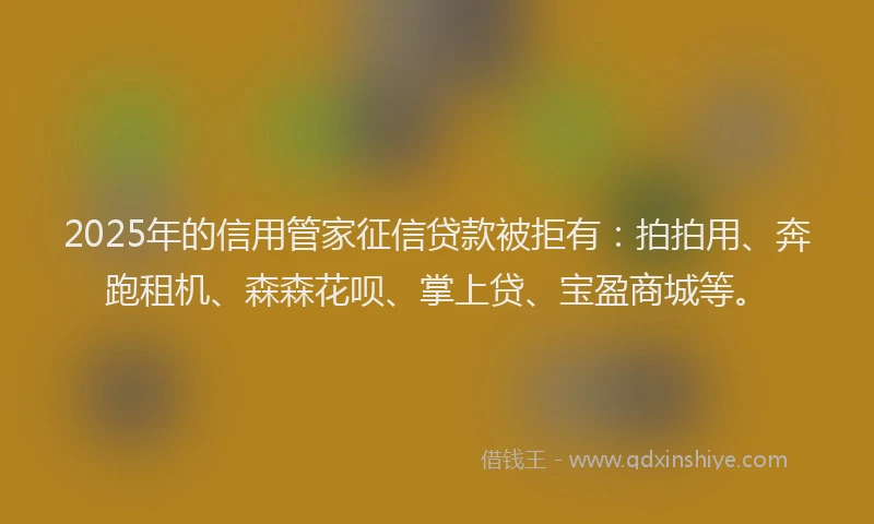 2025年的信用管家征信贷款被拒有：拍拍用、奔跑租机、森森花呗、掌上贷、宝盈商城等。