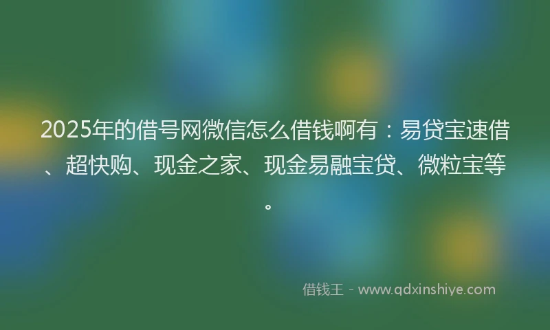 2025年的借号网微信怎么借钱啊有：易贷宝速借、超快购、现金之家、现金易融宝贷、微粒宝等。