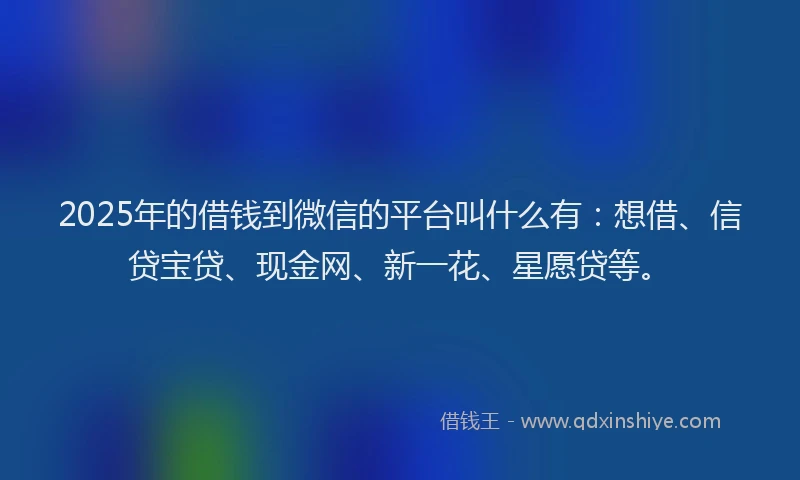 2025年的借钱到微信的平台叫什么有：想借、信贷宝贷、现金网、新一花、星愿贷等。
