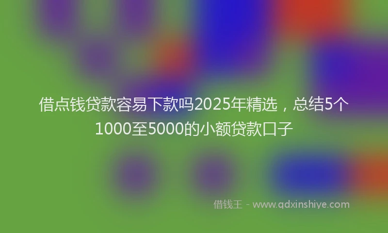 借点钱贷款容易下款吗2025年精选，总结5个1000至5000的小额贷款口子