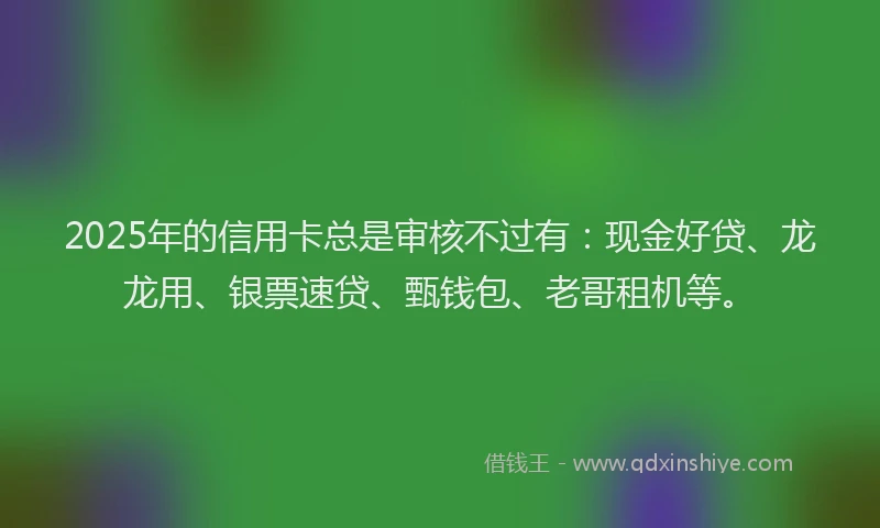 2025年的信用卡总是审核不过有：现金好贷、龙龙用、银票速贷、甄钱包、老哥租机等。