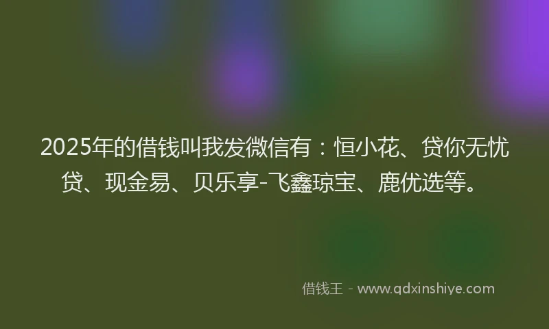 2025年的借钱叫我发微信有：恒小花、贷你无忧贷、现金易、贝乐享-飞鑫琼宝、鹿优选等。