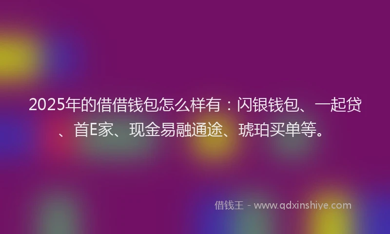 2025年的借借钱包怎么样有：闪银钱包、一起贷、首E家、现金易融通途、琥珀买单等。