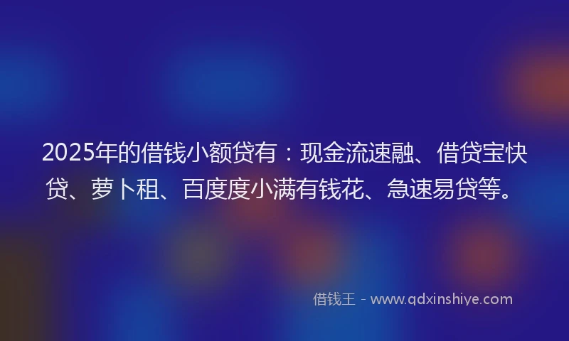 2025年的借钱小额贷有：现金流速融、借贷宝快贷、萝卜租、百度度小满有钱花、急速易贷等。