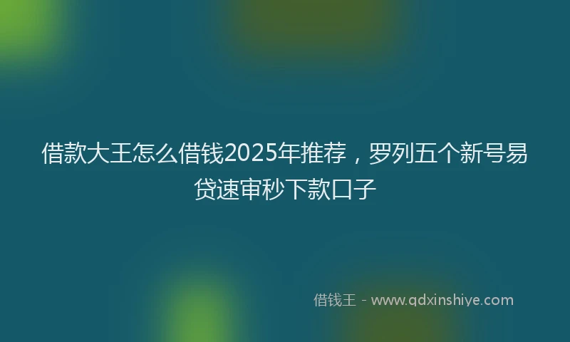 借款大王怎么借钱2025年推荐，罗列五个新号易贷速审秒下款口子