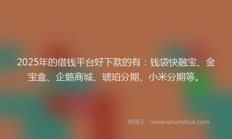 2025年的借钱平台好下款的有：钱袋快融宝、金宝盒、企鹅商城、琥珀分期、小米分期等。
