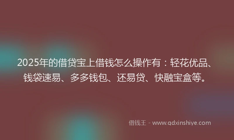 2025年的借贷宝上借钱怎么操作有：轻花优品、钱袋速易、多多钱包、还易贷、快融宝盒等。