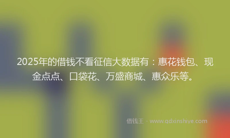 2025年的借钱不看征信大数据有：惠花钱包、现金点点、口袋花、万盛商城、惠众乐等。