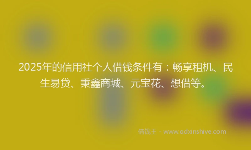 2025年的信用社个人借钱条件有：畅享租机、民生易贷、秉鑫商城、元宝花、想借等。