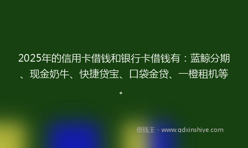 2025年的信用卡借钱和银行卡借钱有：蓝鲸分期、现金奶牛、快捷贷宝、口袋金贷、一橙租机等。