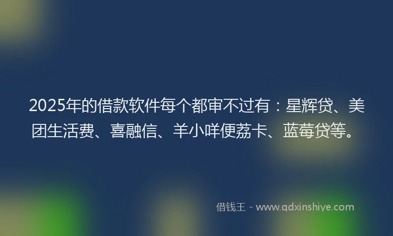 2025年的借款软件每个都审不过有：星辉贷、美团生活费、喜融信、羊小咩便荔卡、蓝莓贷等。
