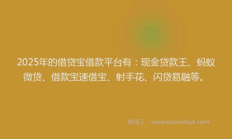 2025年的借贷宝借款平台有：现金贷款王、蚂蚁微贷、借款宝速借宝、射手花、闪贷易融等。