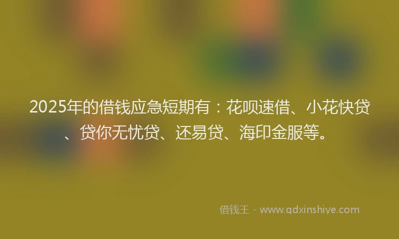 2025年的借钱应急短期有：花呗速借、小花快贷、贷你无忧贷、还易贷、海印金服等。