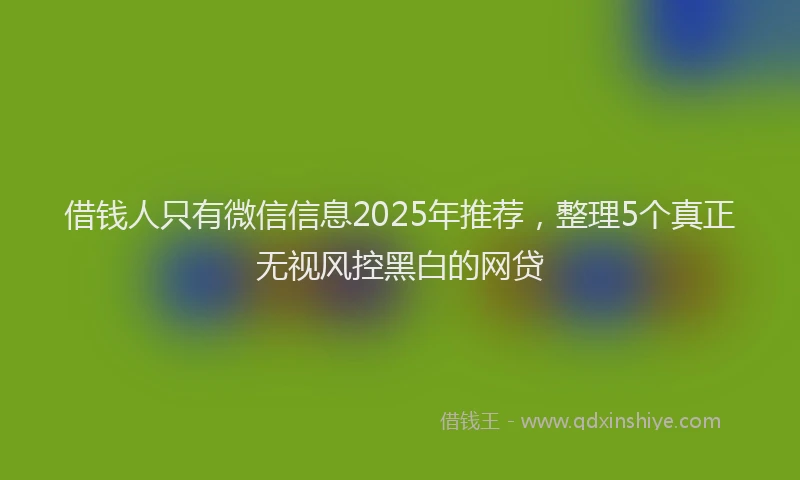 借钱人只有微信信息2025年推荐,整理5个真正无视风控黑白的网贷