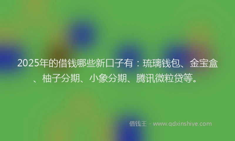 2025年的借钱哪些新口子有：琉璃钱包、金宝盒、柚子分期、小象分期、腾讯微粒贷等。