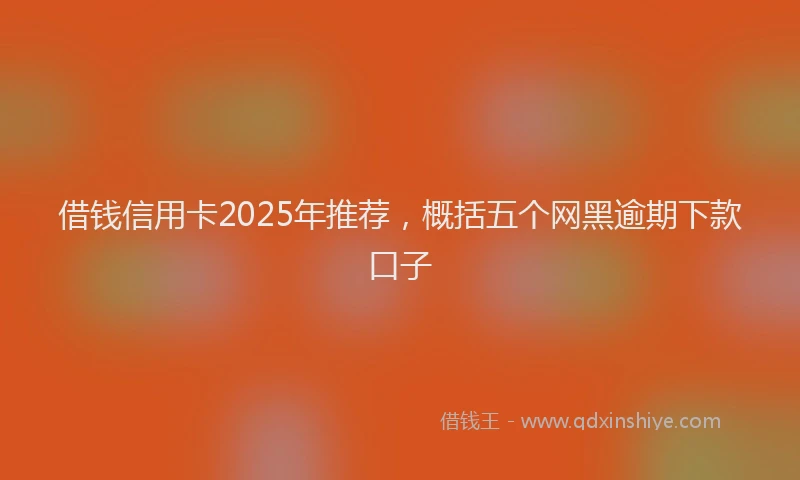 借钱信用卡2025年推荐，概括五个网黑逾期下款口子