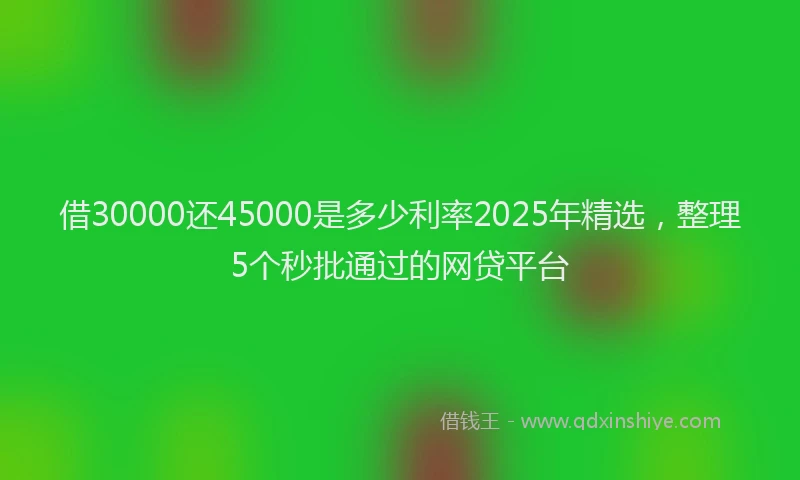 借30000还45000是多少利率2025年精选，整理5个秒批通过的网贷平台