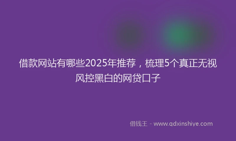 借款网站有哪些2025年推荐,梳理5个真正无视风控黑白的网贷口子