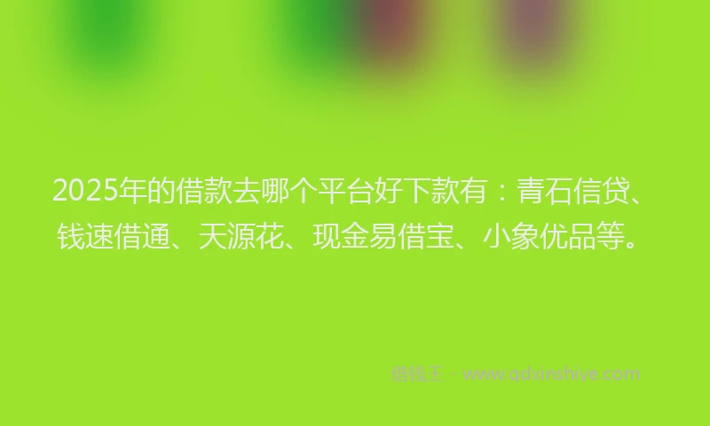 2025年的借款去哪个平台好下款有:青石信贷、钱速借通、天源花、现金易借宝、小象优品等。