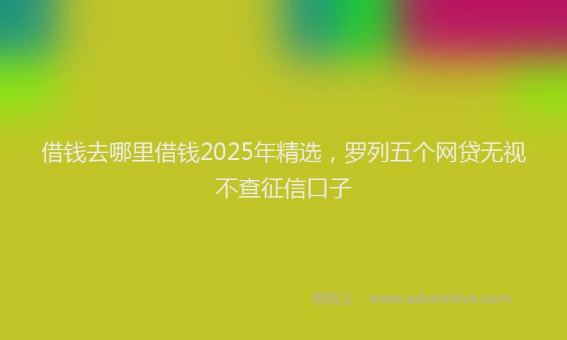 借钱去哪里借钱2025年精选,罗列五个网贷无视不查征信口子