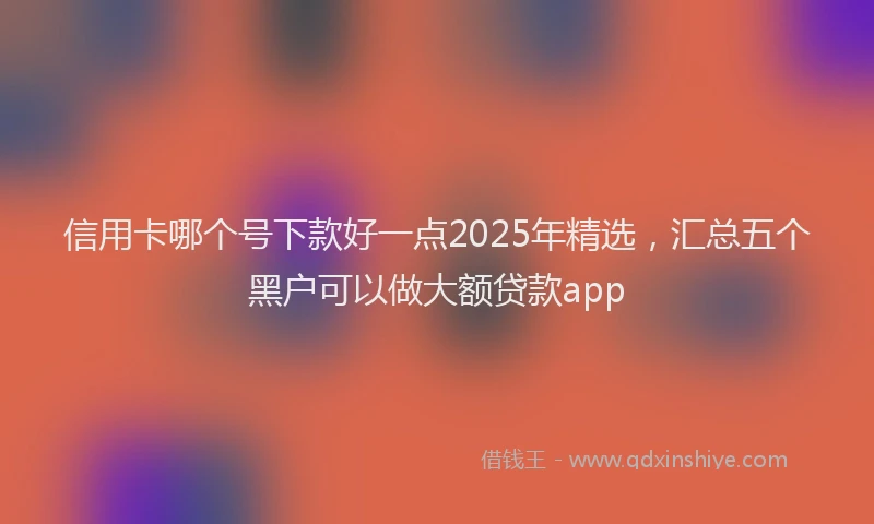 信用卡哪个号下款好一点2025年精选，汇总五个黑户可以做大额贷款app