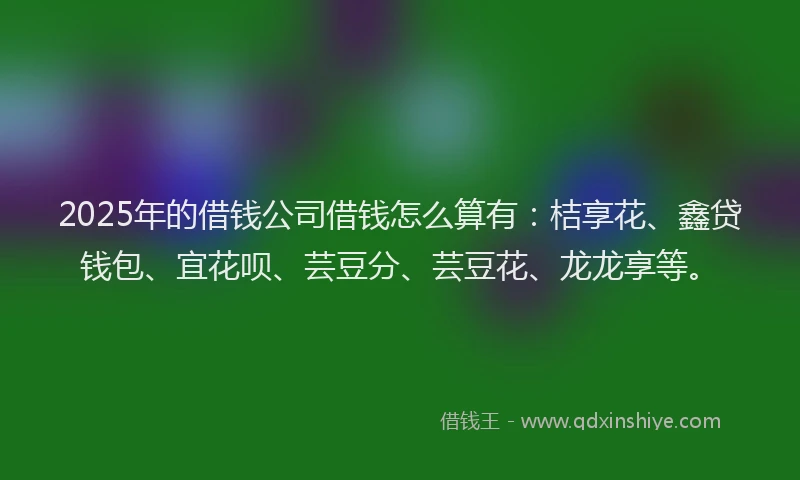 2025年的借钱公司借钱怎么算有：桔享花、鑫贷钱包、宜花呗、芸豆分、芸豆花、龙龙享等。