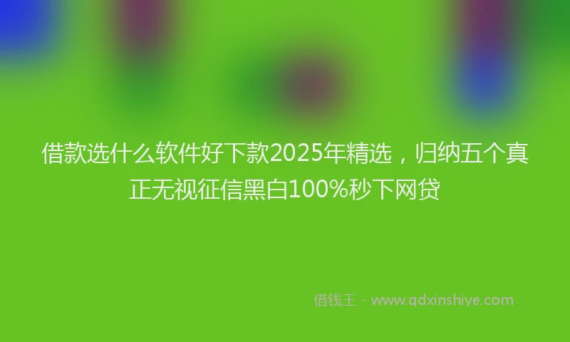 借款选什么软件好下款2025年精选，归纳五个真正无视征信黑白100%秒下网贷