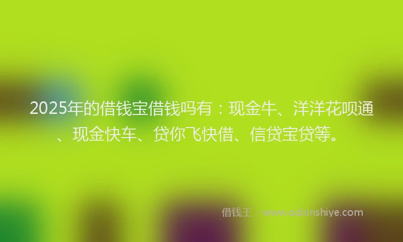 2025年的借钱宝借钱吗有：现金牛、洋洋花呗通、现金快车、贷你飞快借、信贷宝贷等。