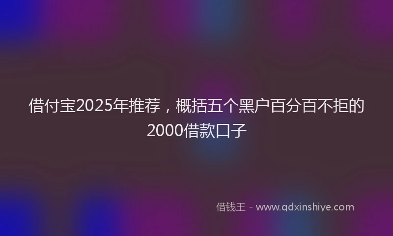 借付宝2025年推荐，概括五个黑户百分百不拒的2000借款口子