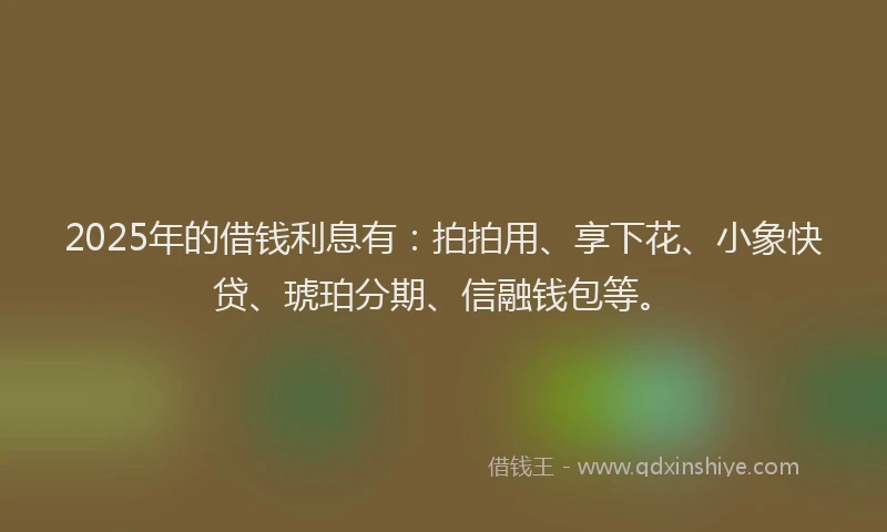 2025年的借钱利息有：拍拍用、享下花、小象快贷、琥珀分期、信融钱包等。