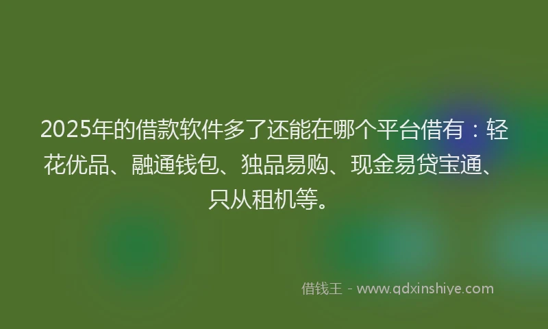 2025年的借款软件多了还能在哪个平台借有：轻花优品、融通钱包、独品易购、现金易贷宝通、只从租机等。