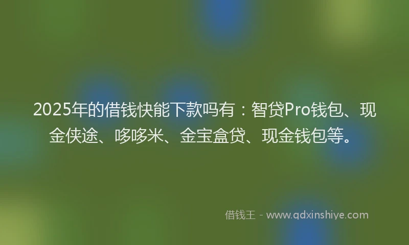 2025年的借钱快能下款吗有：智贷Pro钱包、现金侠途、哆哆米、金宝盒贷、现金钱包等。