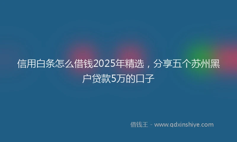 信用白条怎么借钱2025年精选，分享五个苏州黑户贷款5万的口子