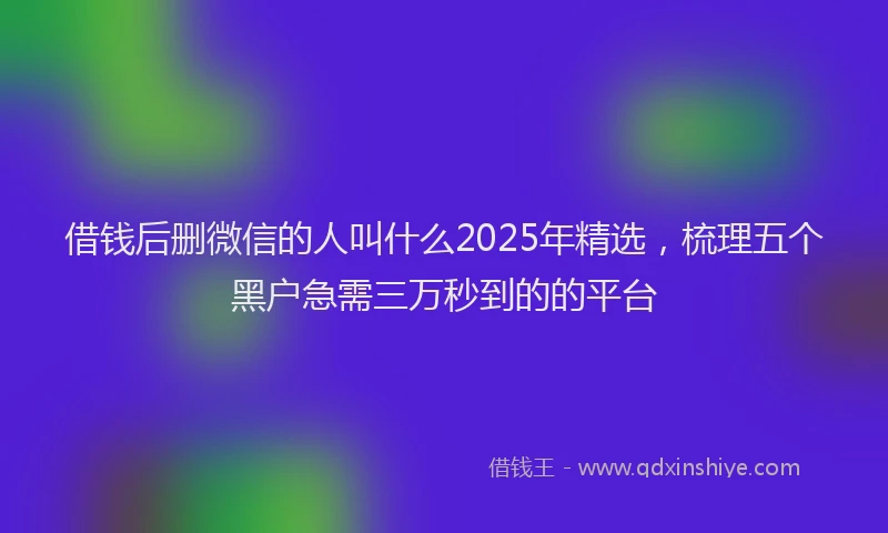 借钱后删微信的人叫什么2025年精选，梳理五个黑户急需三万秒到的的平台