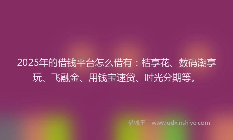 2025年的借钱平台怎么借有：桔享花、数码潮享玩、飞融金、用钱宝速贷、时光分期等。