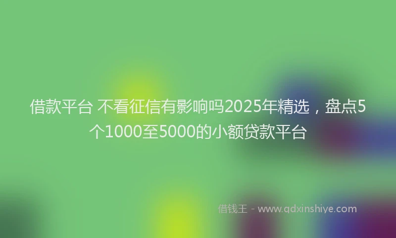 借款平台 不看征信有影响吗2025年精选，盘点5个1000至5000的小额贷款平台