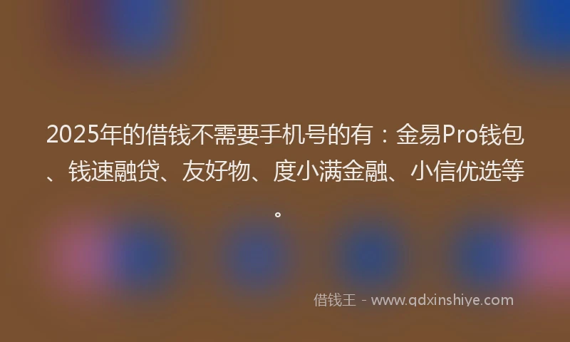 2025年的借钱不需要手机号的有：金易Pro钱包、钱速融贷、友好物、度小满金融、小信优选等。