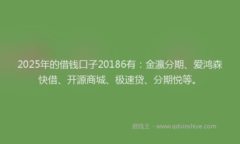 2025年的借钱口子20186有：金瀛分期、爱鸿森快借、开源商城、极速贷、分期悦等。