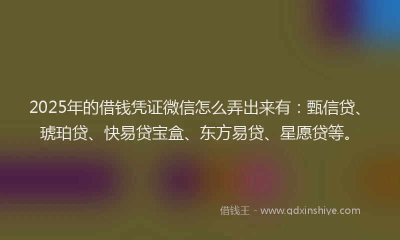 2025年的借钱凭证微信怎么弄出来有：甄信贷、琥珀贷、快易贷宝盒、东方易贷、星愿贷等。