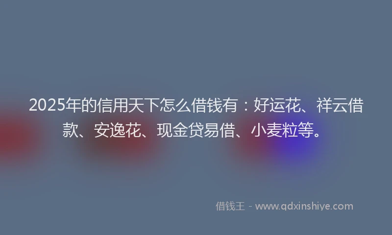 2025年的信用天下怎么借钱有：好运花、祥云借款、安逸花、现金贷易借、小麦粒等。