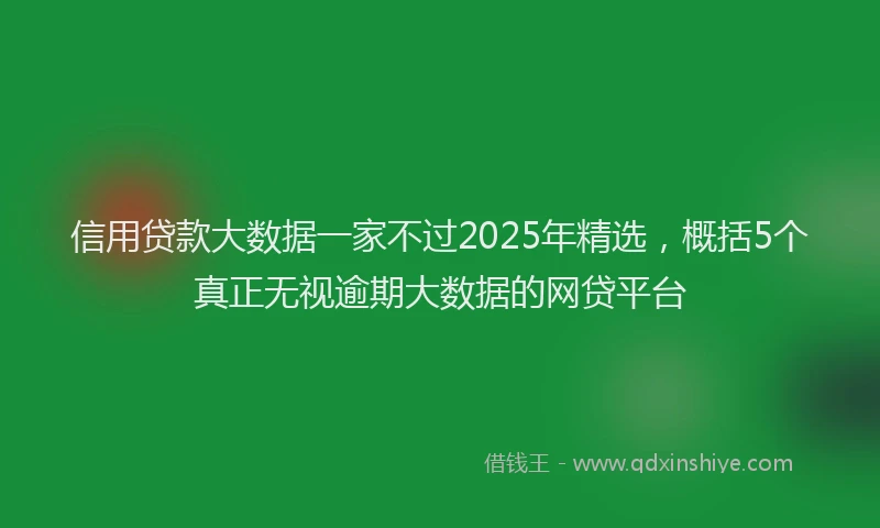 信用贷款大数据一家不过2025年精选,概括5个真正无视逾期大数据的网贷平台