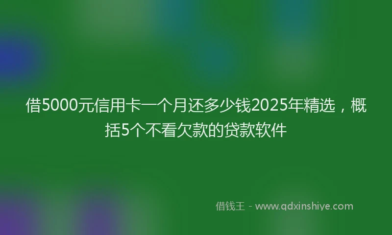 借5000元信用卡一个月还多少钱2025年精选，概括5个不看欠款的贷款软件